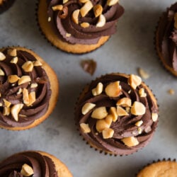 peanut butter cupcakes frosted with whipped chocolate ganache and topped with chopped peanuts.