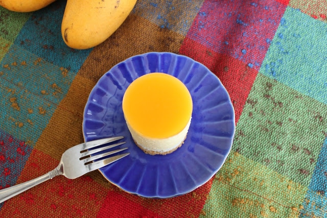 Mango Yogurt Mousse Cake