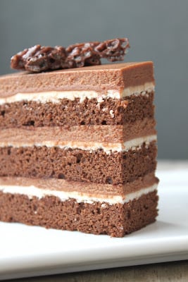 Chocolate Hazelnut Cake