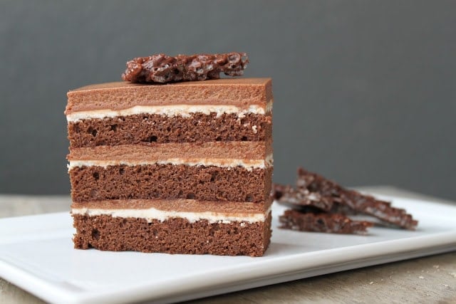 Chocolate Hazelnut Cake