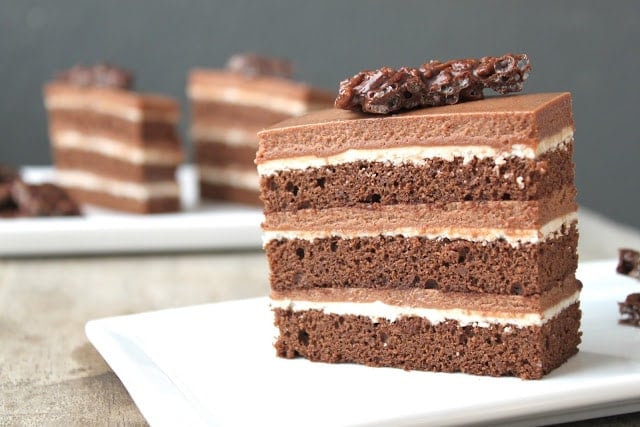 Chocolate Hazelnut Cake