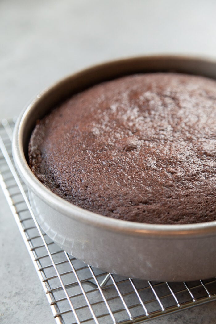 chocolate pumpkin cake baked in 8-inch round pan.