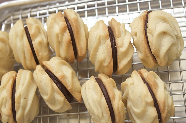 Vanilla Rosette Cookies with Chocolate Ganache