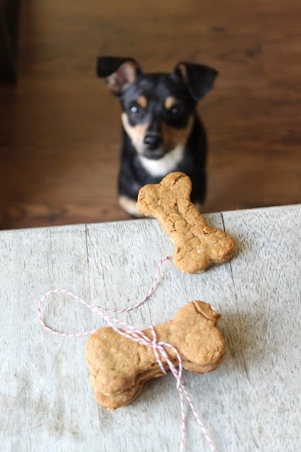 Peanut Butter and Oats Dog Bone Biscuits