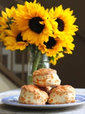cheddar cheese cream biscuits on plate