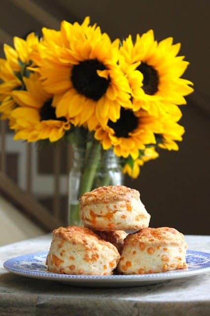 cheddar cheese cream biscuits on plate