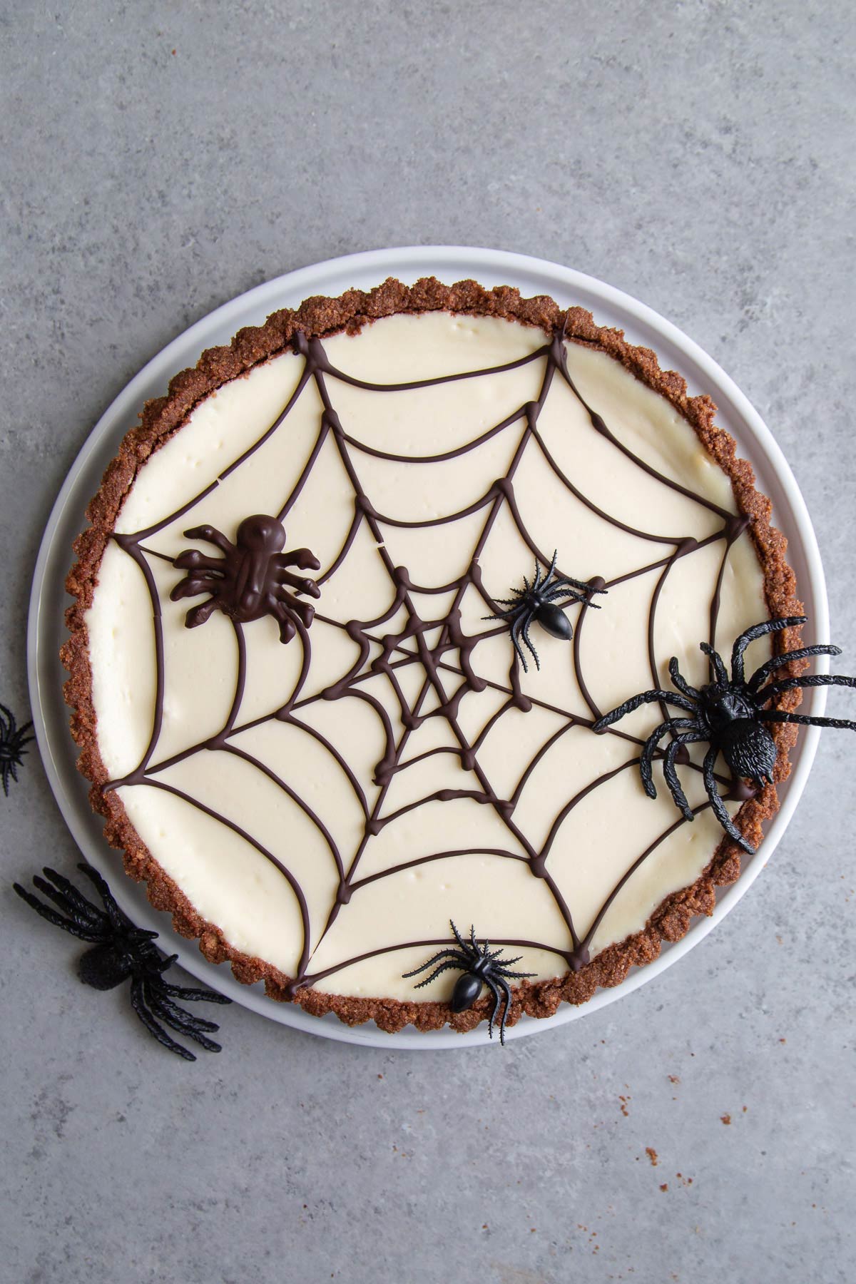 Spider Web Cheesecake Tart with chocolate web and edible chocolate spider on white plate.