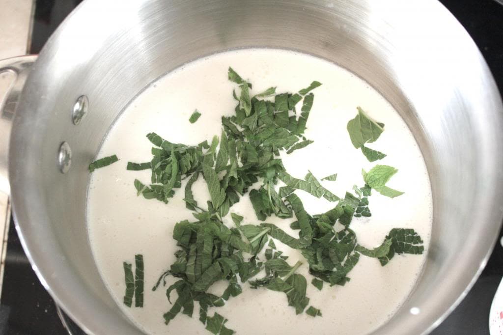 Fresh Mint and Chocolate Chunk Ice Cream