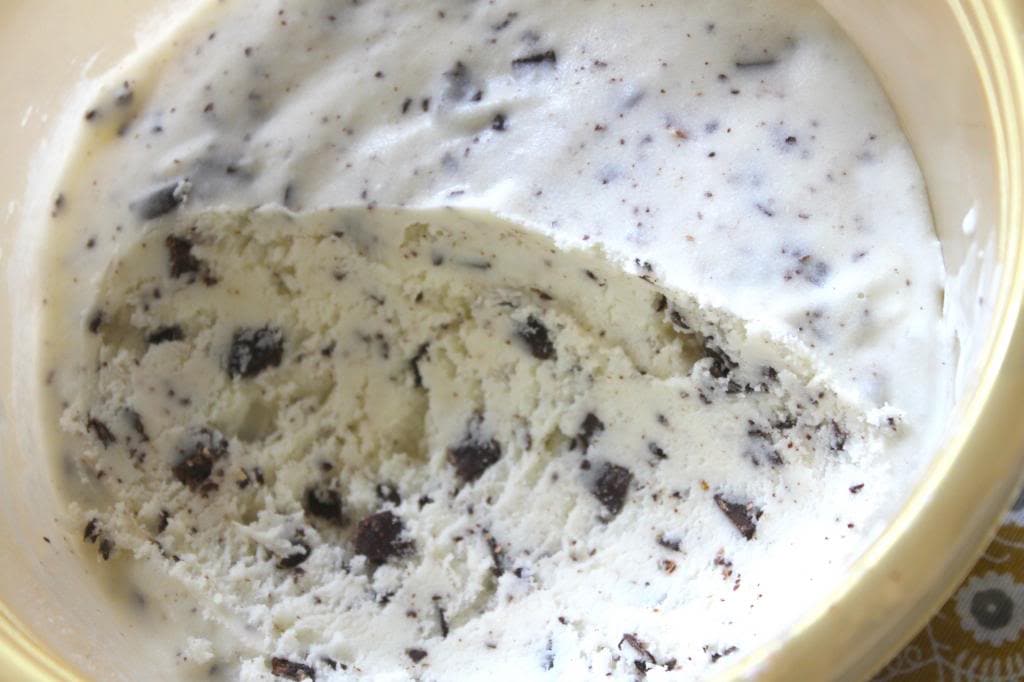 Fresh Mint and Chocolate Chunk Ice Cream Fresh Mint Chocolate Chunk Ice Cream