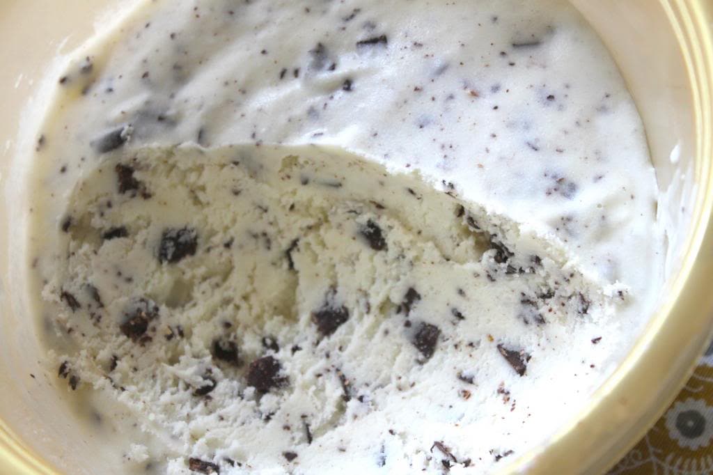 Fresh Mint Chocolate Chunk Ice Cream