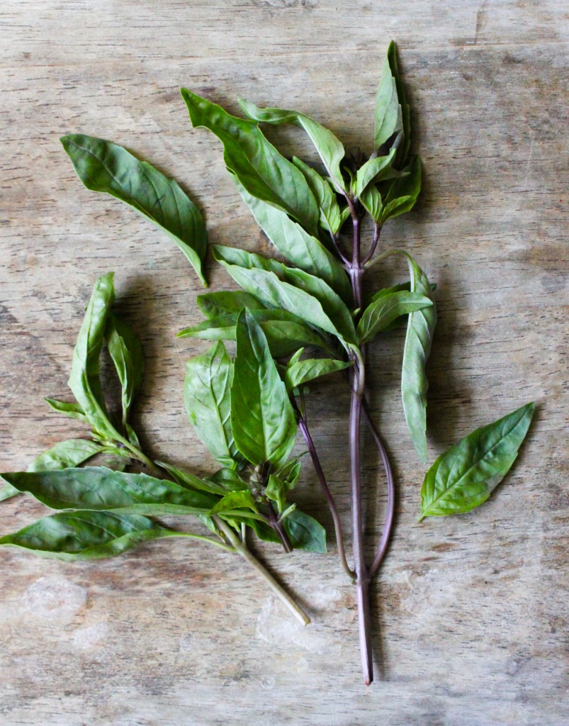 Clipping of Thai basil, also called Asian basil or anise basil. 