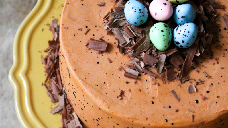 Speckled Egg Chocolate Cake
