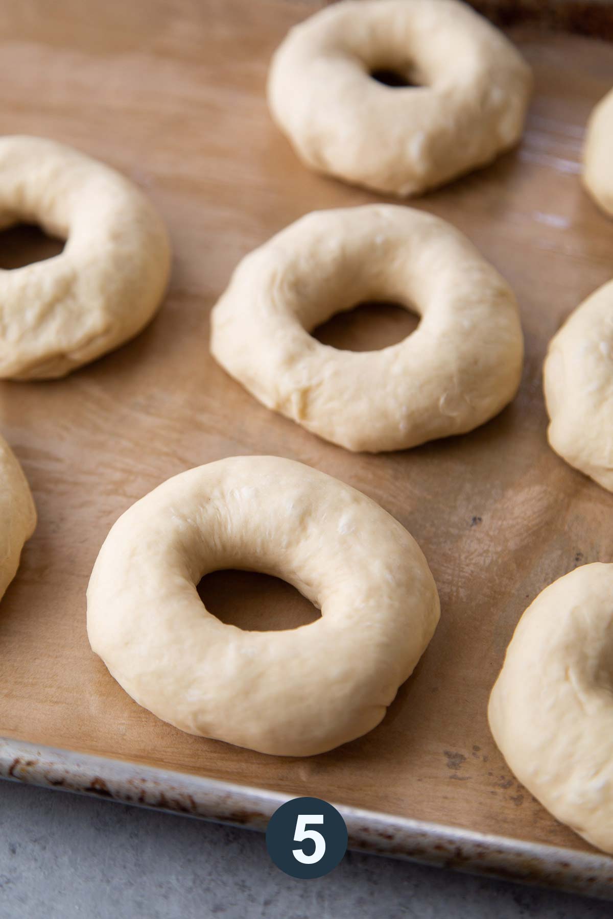 mist bagels with oil and rest overnight.