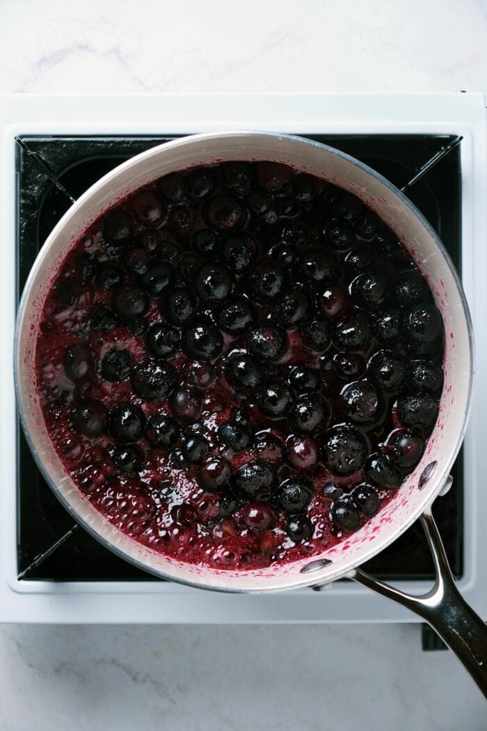 blueberry jam ingredients in a heavy bottomed sauce pot.