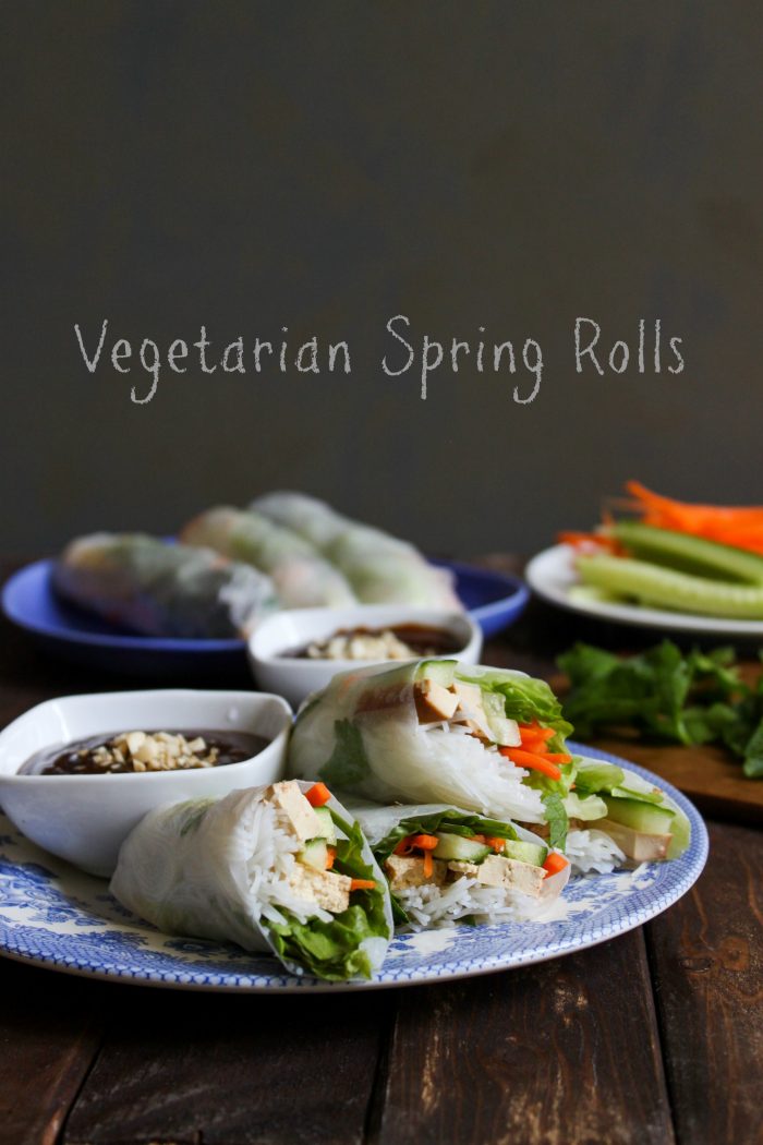 Vegetarian Spring Rolls with Hoisin Sauce