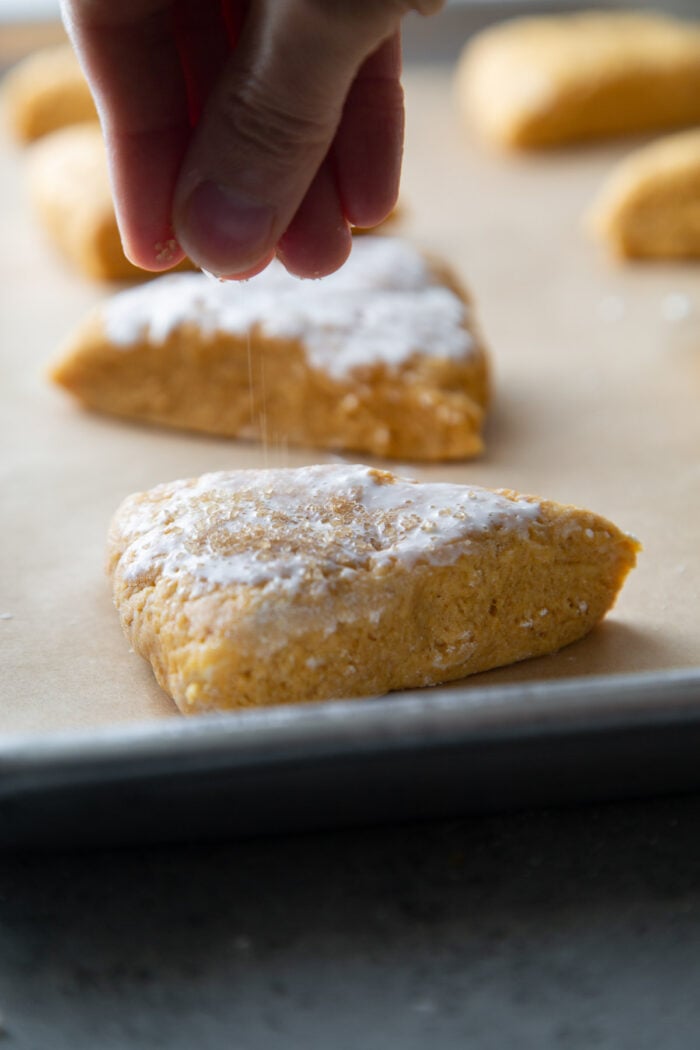 sprinkle turbinado sugar over cream topped pumpkin scones.