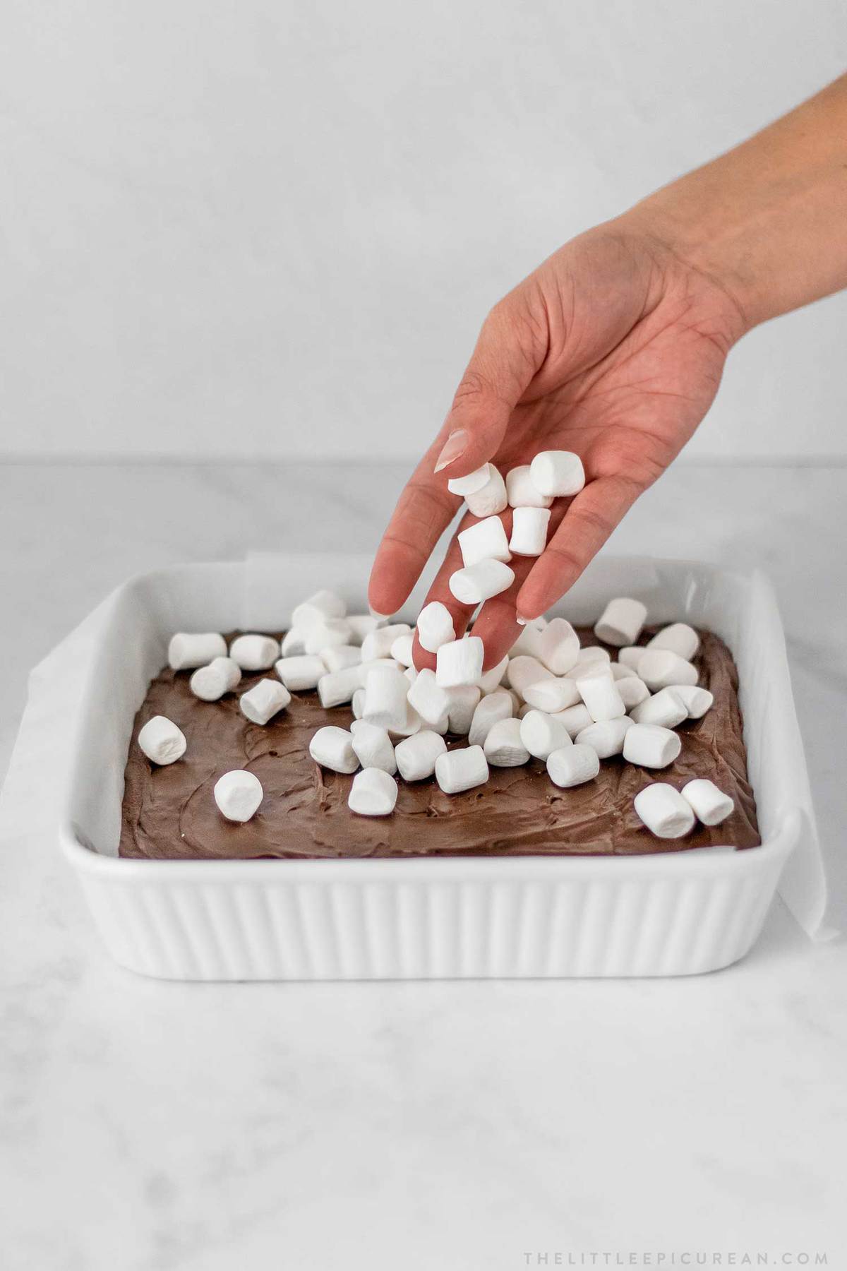 S'mores Fudge Bars topped with marshmallows