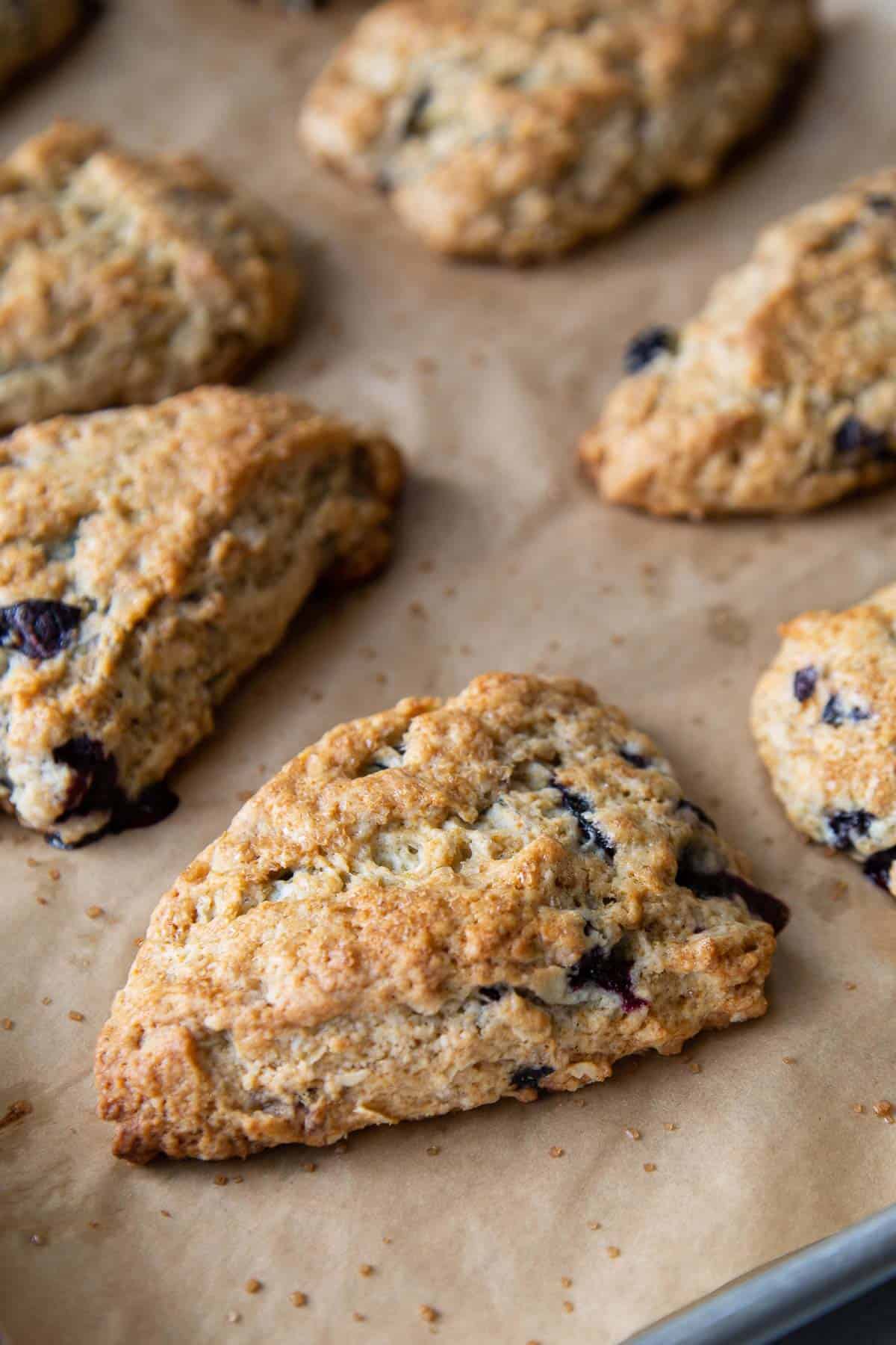 fresh baked lemon blueberry oat scone on parchment lined baking sheet.