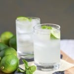 Gin and Tonic cocktail
