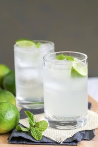 Gin and Tonic cocktail