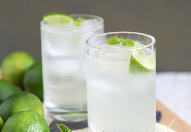 Gin and Tonic cocktail