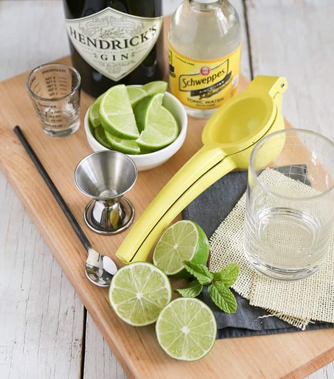 Gin-and-tonic-ingredients