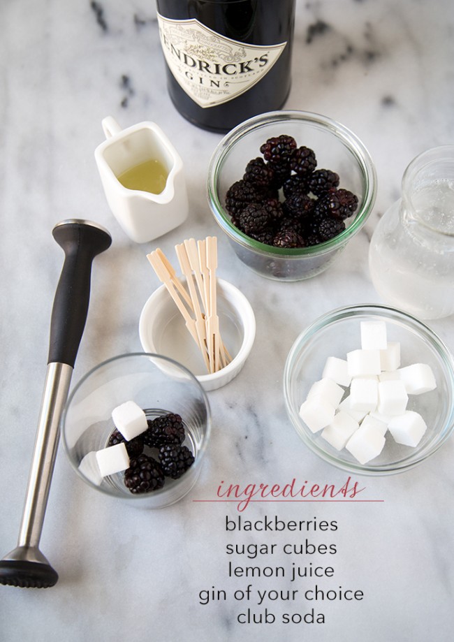 Blackberry Gin Fizz Ingredients | The Little Epicurean