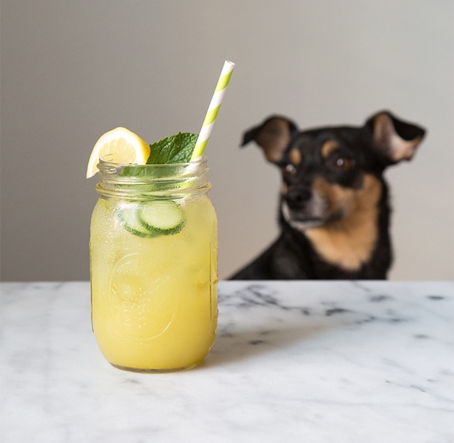 Cucumber Mint Lemonade | The Little Epicurean