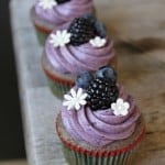 Blueberry Cupcakes | The Little Epicurean