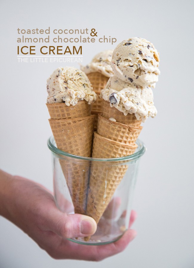 Toasted Coconut & Almond Chocolate Chip Ice Cream