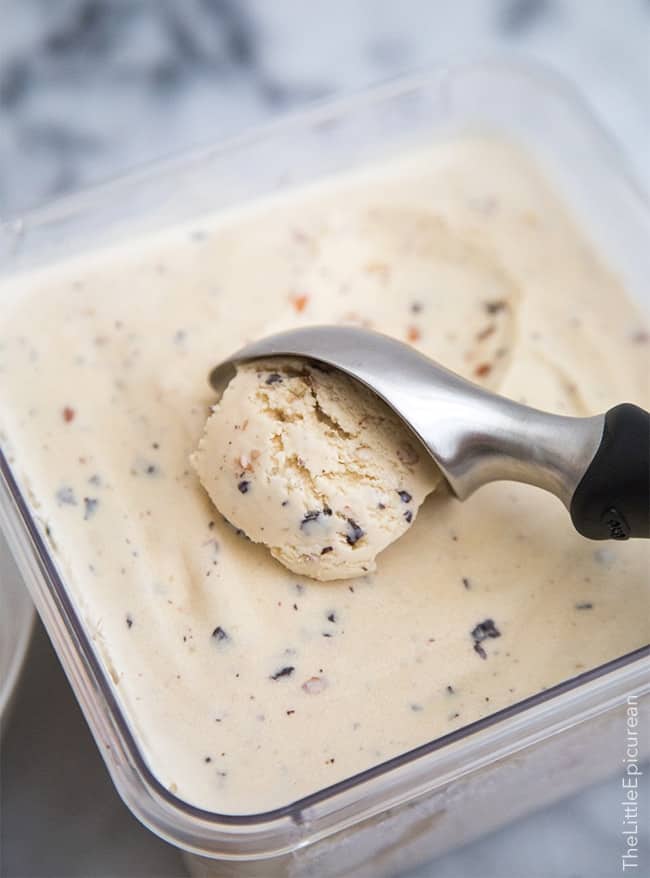 Toasted Coconut Almond Chocolate Chip Ice Cream