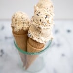 Toasted Coconut & Almond Chocolate Chip Ice Cream