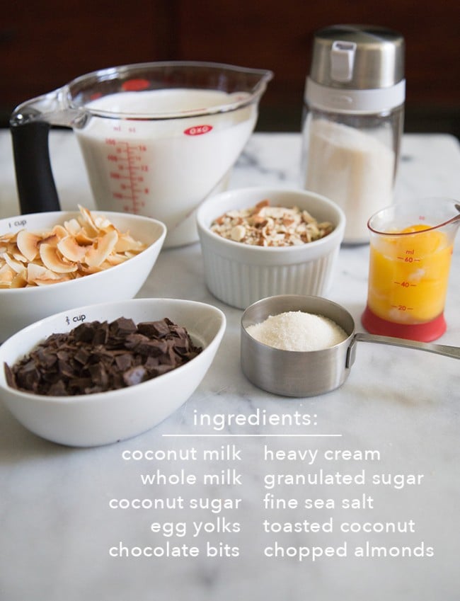 Toasted Coconut Almond Chocolate Chip Ice Cream ingredients