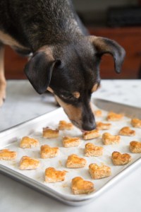 Sweet Potato Dog Treat Biscuits