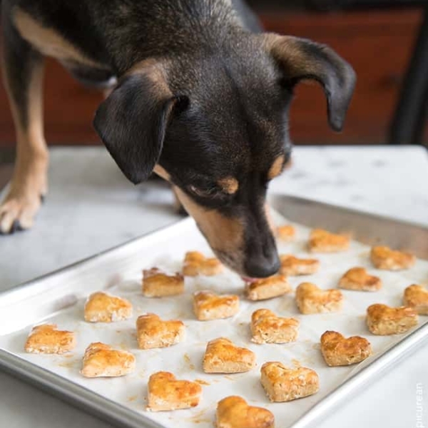 Sweet Potato Dog Treat Biscuits
