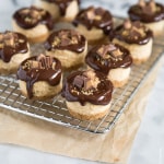 Mini Peanut Butter Pretzel Cheesecakes