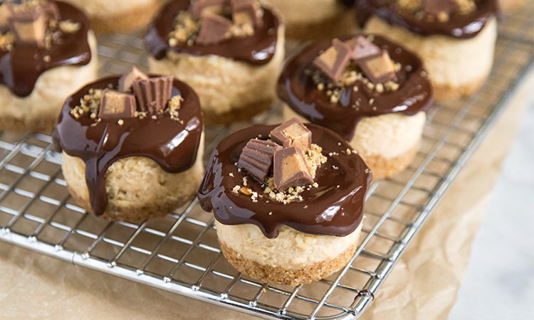 Mini Peanut Butter Pretzel Cheesecakes