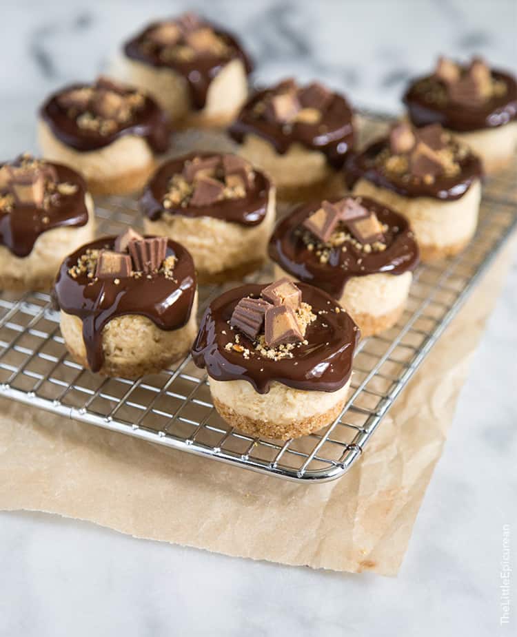 Mini Peanut Butter Pretzel Cheesecakes