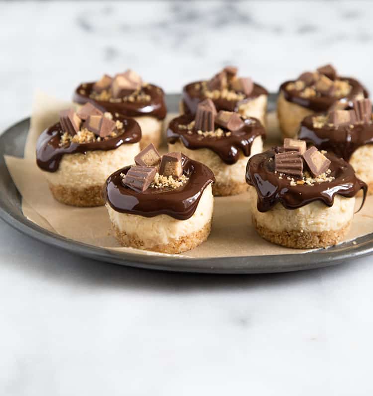 Mini Peanut Butter Pretzel Cheesecakes