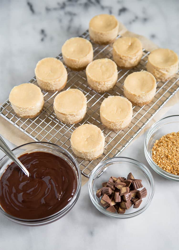 Mini Peanut Butter Pretzel Cheesecakes