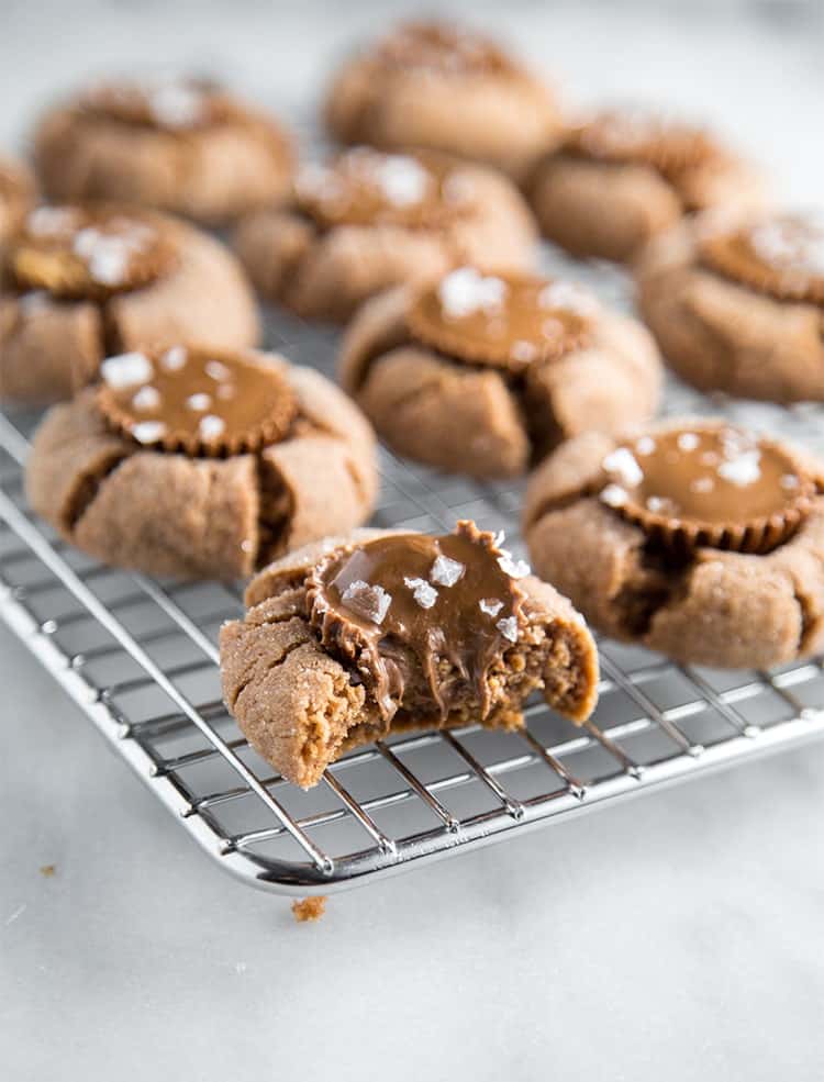 Chocolate Peanut Butter Cookies