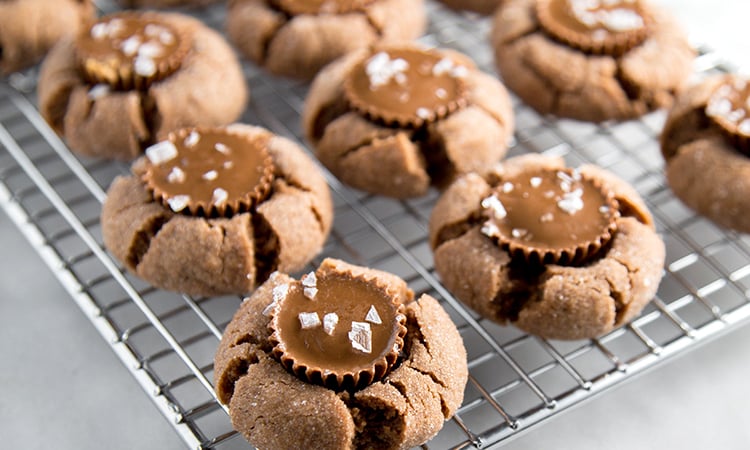 Chocolate Peanut Butter Cookies