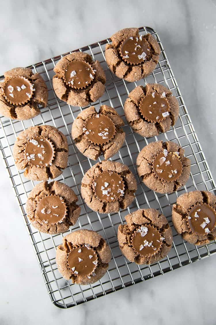 Chocolate Peanut Butter Cookies