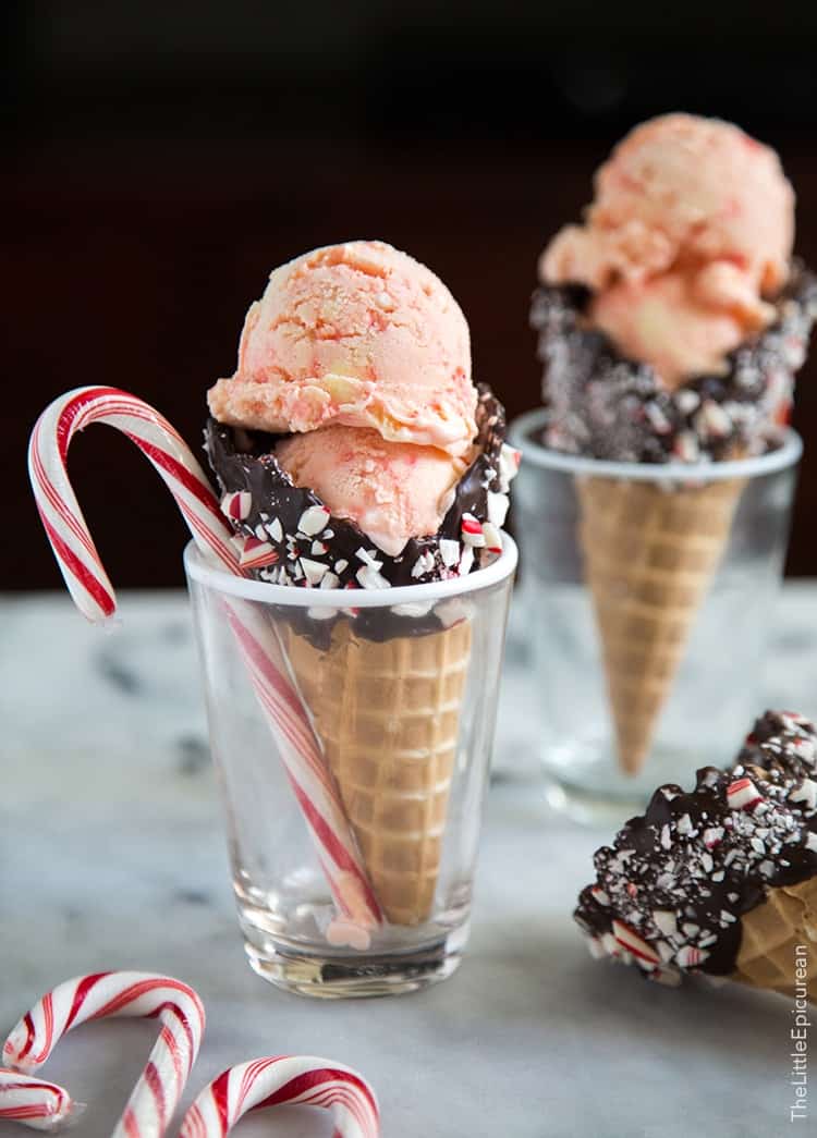 Peppermint Ice Cream in Chocolate Dipped Cone