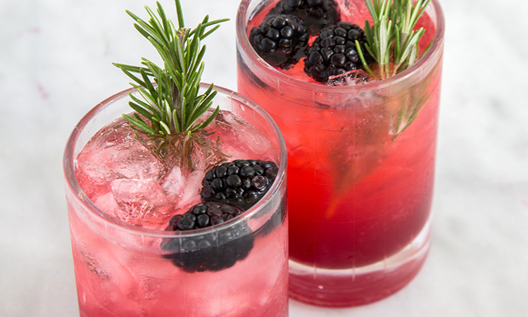 Rosemary Blackberry Limonata Cocktail