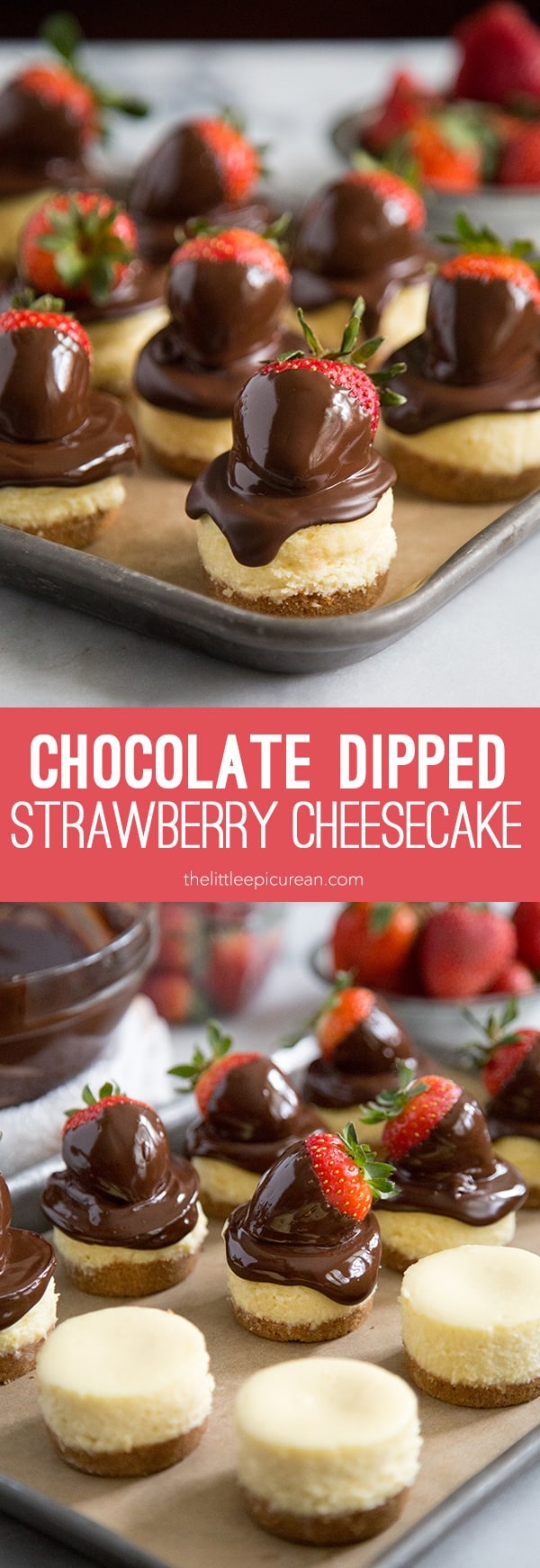 Chocolate Dipped Strawberry Cheesecake