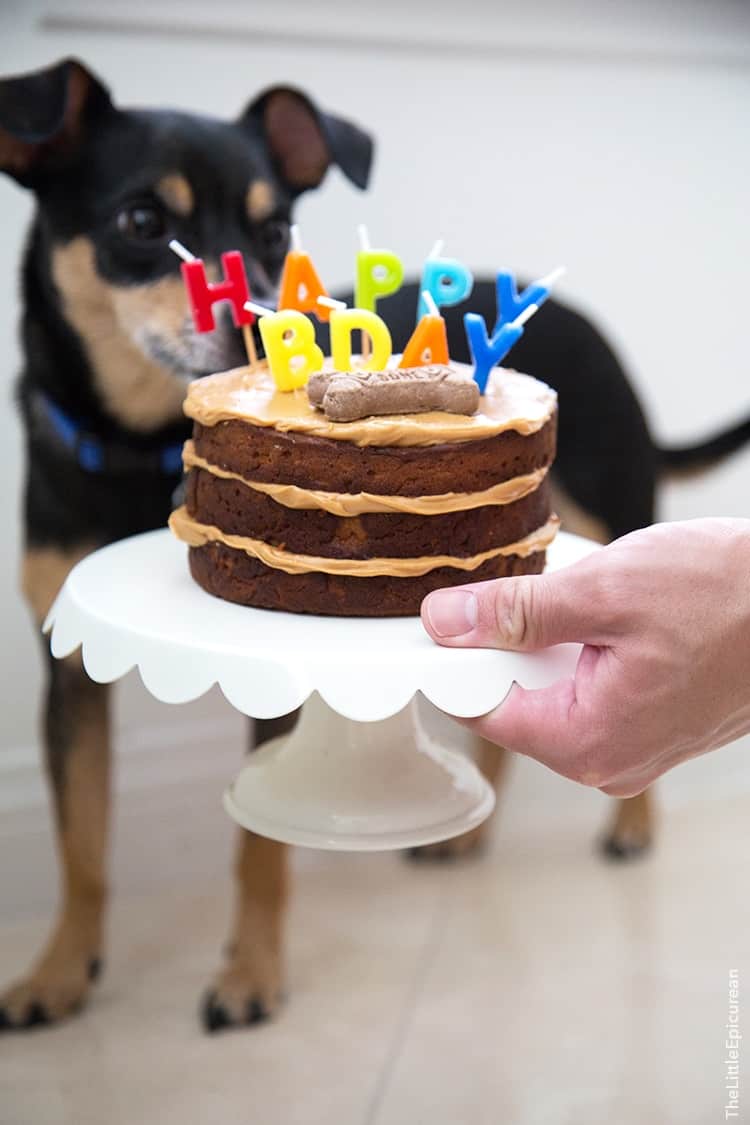 Peanut Butter Apple Pupcake | the little epicurean