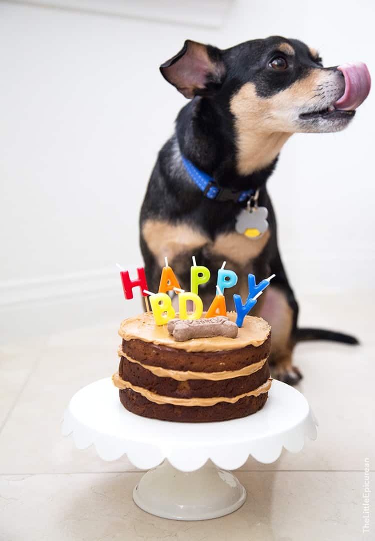 Peanut Butter Apple Pupcake