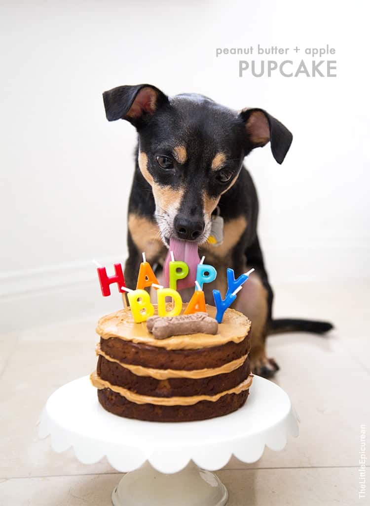 Peanut Butter Apple Pupcake | the little epicurean