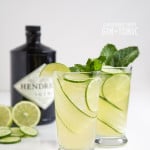 Cucumber Mint Gin and Tonic | the little epicurean